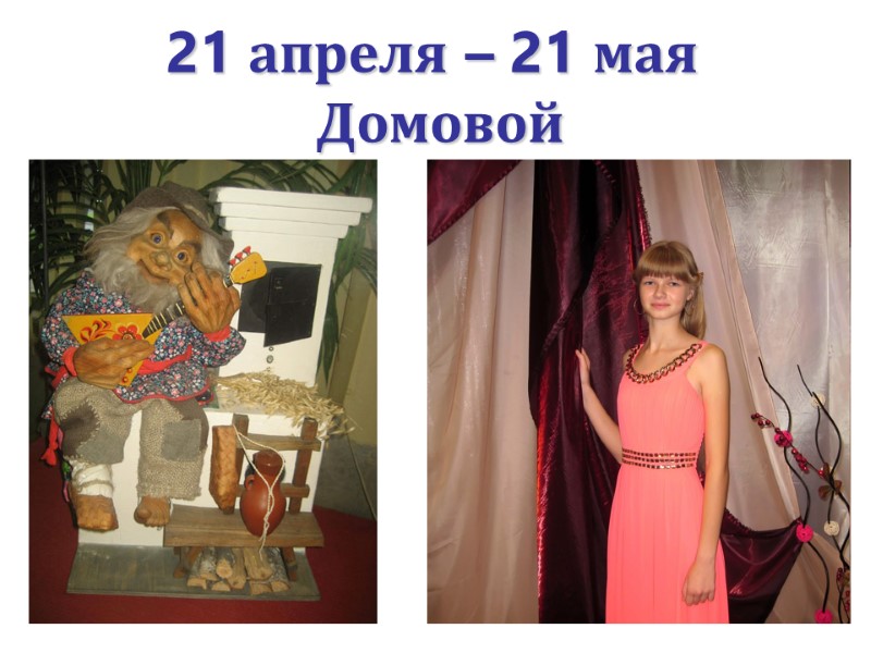 21 апреля – 21 мая   Домовой